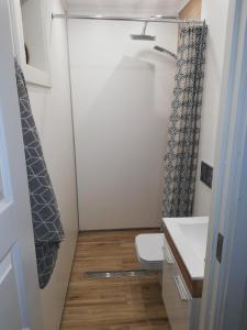 特纽尔Apartment AliS的一间带卫生间和水槽的小浴室