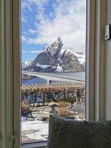 雷讷Sakrisøy Gjestegård - Manor House in Sakrisøy - Solbakken anno 1880的窗户享有山景。