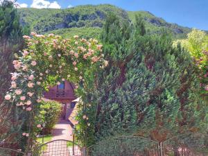 佩鲁恰茨迪特里纳中提琴公寓的花园中一个有粉红色玫瑰的拱门
