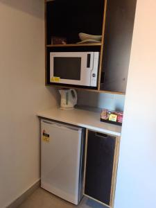 滕南特克里克Safari Lodge Motel的小厨房配有冰箱和微波炉。