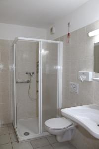 维也纳雷纳斯都瑙酒店的带淋浴、卫生间和盥洗盆的浴室