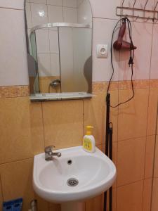 喀尔巴阡Комфортный的浴室水槽、镜子和肥皂瓶