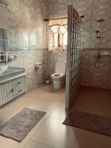 马埃岛Erica's Self Catering Apartment的一间带卫生间和水槽的浴室