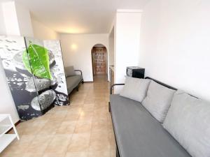 罗萨斯Port badia 1b的客厅里设有一张灰色沙发