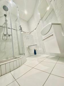 兰斯Reims Sherpa Guest House的带淋浴和卫生间的白色浴室