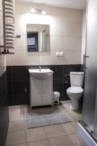姆拉哥沃Apartamenty Mazury Kamienica Centrum的一间带卫生间、水槽和镜子的浴室