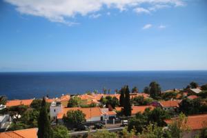 卡尼索Penthaus Villa Erika Madeira的享有带橙色屋顶的城镇和大海的景致