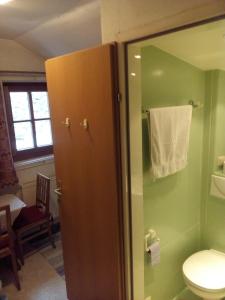 罗孚尔Pension Eckschlager的一间带卫生间和绿色墙壁的浴室