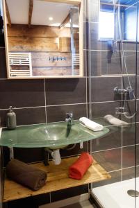 Chalmazel JeansagniereEcho des montagnes的一间带绿色水槽和淋浴的浴室