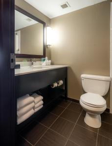 尼斯库智选假日酒店和套房 - 埃德蒙顿国际机场的一间带卫生间、水槽和镜子的浴室