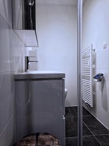 奥斯坦德Geniet van de zee met dit top-appartement Fuji Ostend的一间带水槽和卫生间的浴室