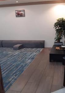 塔伊夫Al Dana Plaza Villas的客厅配有沙发,地板上铺有地毯。