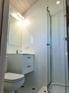 杰泽扎尼Flip Flops的一间带卫生间和玻璃淋浴间的浴室