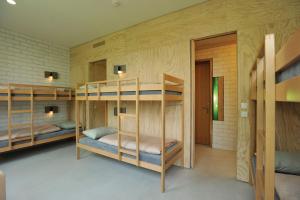 巴塞尔青年旅舍客房内的一张或多张床位