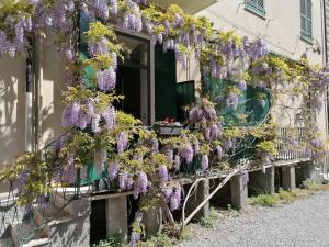 热那亚Il Giardino di Elettra - FreeParking的旁边是一座有紫藤的建筑