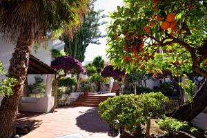 利帕里戈多帕多公园酒店的种满鲜花和树木的花园,楼梯