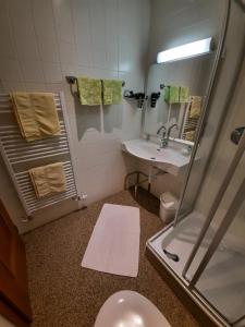 菲根布尔吉旅馆的带淋浴、卫生间和盥洗盆的浴室