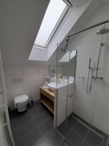萨尔茨堡波尔瓦恩旅馆的一间带水槽、淋浴和卫生间的浴室