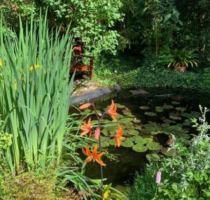 巴登-巴登科瑞普恩霍夫度假公寓的花园中种满鲜花的池塘和长凳
