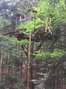 沙泰勒吉永cabane de l'Ecureuil的森林中的一个树屋