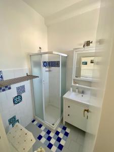 阿纳卡普里艾登公寓的带淋浴和盥洗盆的浴室