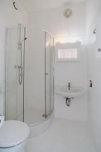 柏林阿尔珀上午波茨坦广场酒店的带淋浴和盥洗盆的白色浴室