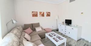 塞维利亚Apartamento Realengo Sevilla的带沙发和电视的客厅