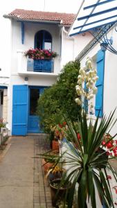 波尔尼克Les Volets Bleus的一座有蓝色门的房子,前面有植物