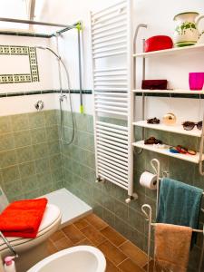 卡斯蒂里昂纳·德拉佩camerealmare的带淋浴和卫生间的浴室
