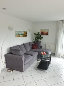 岑平Ferienwohnung Sonnenblick的客厅配有灰色的沙发和桌子