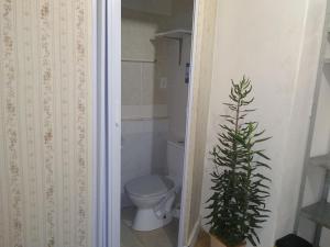 约恩维利Pousada Joinville的浴室设有卫生间,并拥有圣诞树