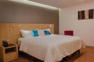 蒙特雷Hotel Kavia Monterrey的卧室配有带蓝色枕头的大型白色床