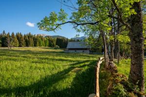 Srednja Vas v BohinjuHoliday Home Srednja vas的谷仓、树木和围栏的田野