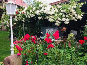 博登斯边的伊门施塔特精灵苑乡村酒店的花园中种有红白色花卉,有街灯