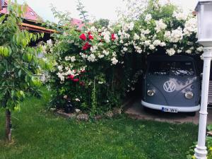 博登斯边的伊门施塔特精灵苑乡村酒店的花 ⁇ 旁的汽车