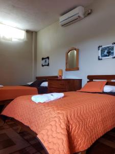 巴克里索莫雷诺港Hostal Cattleya的一间卧室配有两张床和镜子