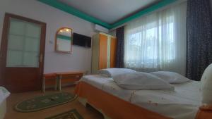 艾福雷诺德Ana si Alex的酒店客房设有床和窗户。