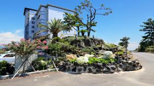 西归浦市海运港口度假酒店的花园在建筑物的一侧