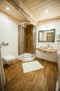扎科帕内Domki Narciarskie Zakopane的带淋浴、卫生间和盥洗盆的浴室