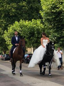 波特莱斯内埃德加酒店的一条新娘和新郎骑着马沿着街道走