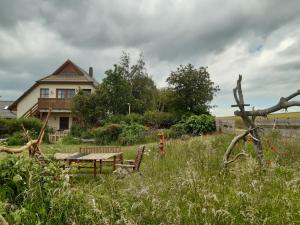 米德尔哈根Ferienwohnung Stockrose的一个带野餐桌和房子的花园