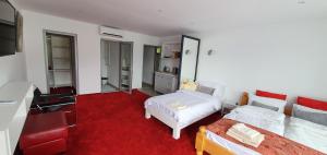 科利比塔Modern rooms Colibita的一间卧室配有两张床,铺有红地毯