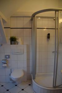 基兴Landgasthof Hüttenschenke的一间带卫生间和淋浴的浴室