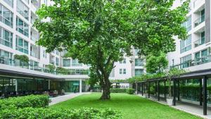 曼谷曼谷碧武里47莎玛服務式公寓的绿草坪前的树