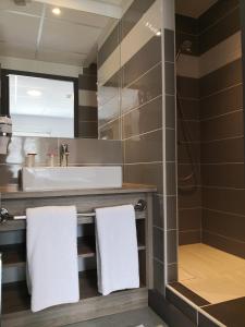 沙拉龙恩河畔沙蒂利翁杜肯梅尔斯酒店的一间带水槽和淋浴的浴室