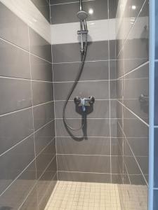 沙拉龙恩河畔沙蒂利翁杜肯梅尔斯酒店的浴室内带软管的淋浴