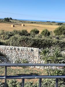 奥特朗托Agriturismo La Palascìa Masseria Agreste的草场旁的石墙