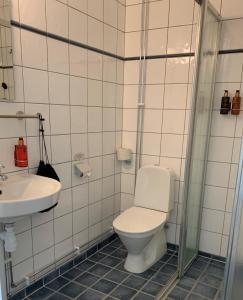Marieberg东马尔马酒店的一间带卫生间和水槽的浴室