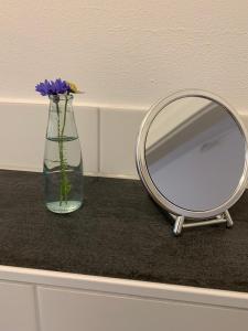 FrensdorfSüßes Zimmer im Souterrain的花朵坐在花瓶旁的镜子
