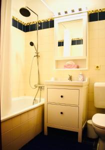 格绍Gosau Apartment 006的一间带水槽、浴缸和卫生间的浴室